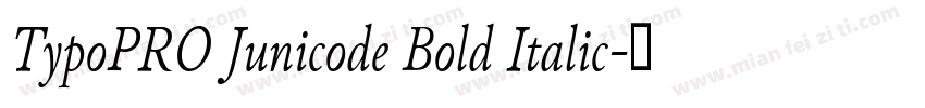 TypoPRO Junicode Bold Italic字体转换